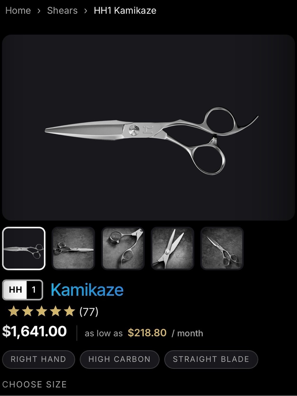 Honzo HH1 Professional Hair Shears — Silver